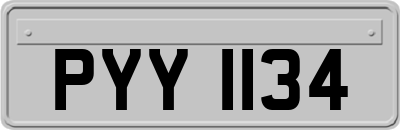 PYY1134
