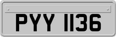 PYY1136