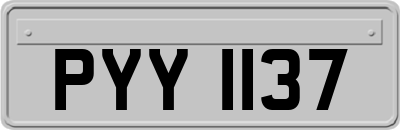 PYY1137