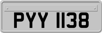 PYY1138