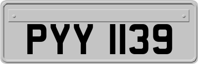 PYY1139