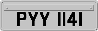 PYY1141
