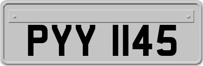 PYY1145