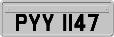 PYY1147