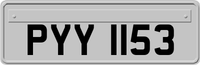 PYY1153
