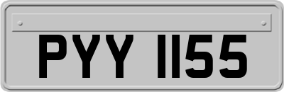 PYY1155