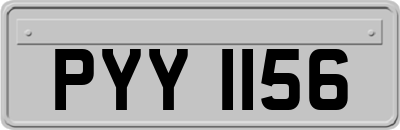PYY1156
