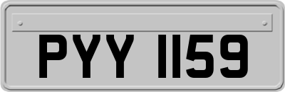PYY1159