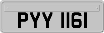 PYY1161