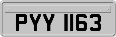 PYY1163