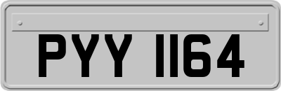PYY1164