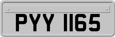 PYY1165