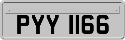 PYY1166