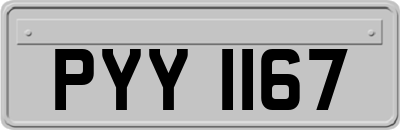 PYY1167
