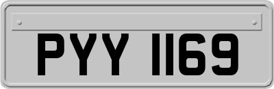 PYY1169