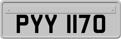 PYY1170