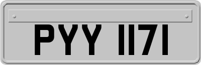 PYY1171