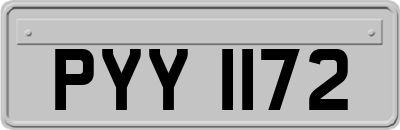 PYY1172