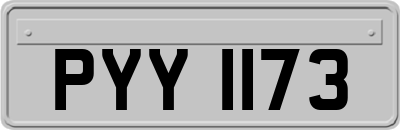 PYY1173
