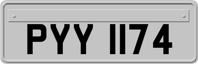 PYY1174