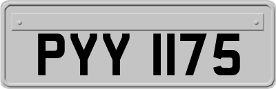 PYY1175