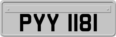 PYY1181