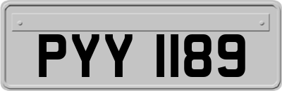 PYY1189
