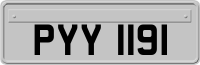 PYY1191