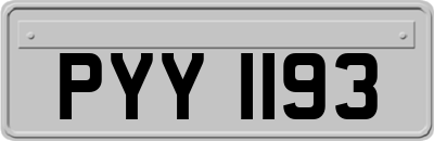 PYY1193