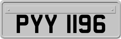 PYY1196