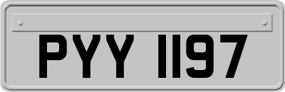 PYY1197