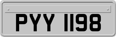 PYY1198