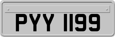 PYY1199