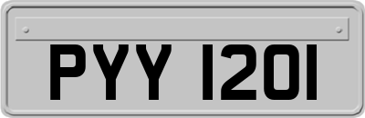 PYY1201