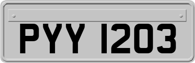 PYY1203