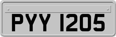 PYY1205