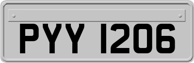 PYY1206