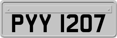 PYY1207