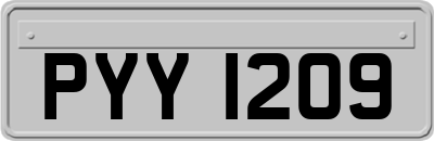 PYY1209