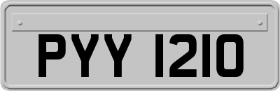 PYY1210