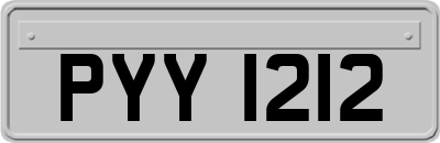 PYY1212