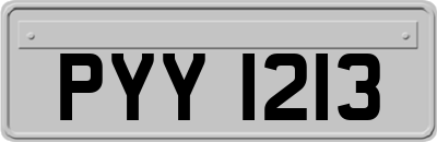 PYY1213