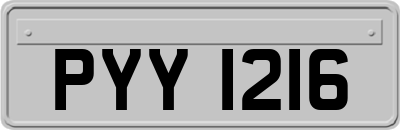PYY1216
