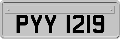 PYY1219