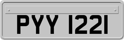 PYY1221