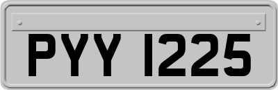 PYY1225