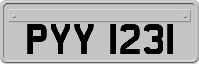 PYY1231