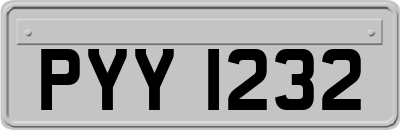 PYY1232