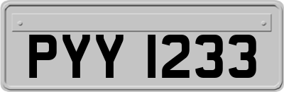 PYY1233