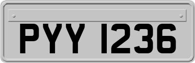 PYY1236